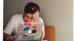 drupal developer